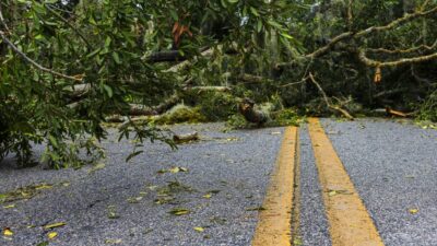 Image depicting The economic cost of extreme weather events